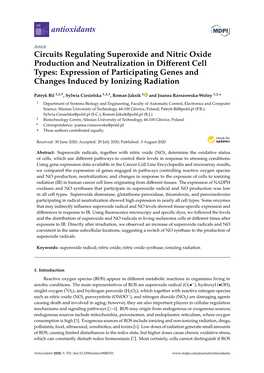 Circuits Regulating Superoxide and Nitric Oxide