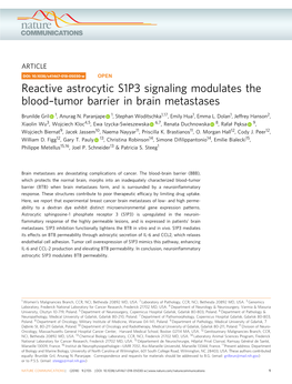 Tumor Barrier in Brain Metastases