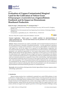 Chrysopogon Zizanioides) As a Lignocellulosic Feedstock and Its Impact on Downstream Bioethanol Production