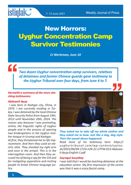 Uyghur Concentration Camp Survivor Testimonies