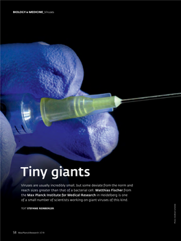 Tiny Giants | Maxplanckresearch 3/2019