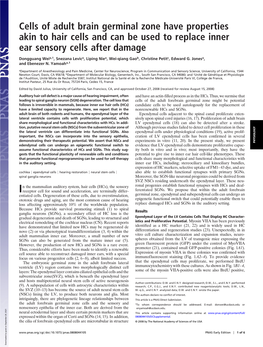 Cells of Adult Brain Germinal Zone Have Properties Akin to Hair Cells and Can Be Used to Replace Inner Ear Sensory Cells After Damage