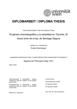 Diplomarbeit / Diploma Thesis