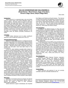 SALVIA DIVINORUM and SALVINORIN a (Street Names: Maria Pastora, Sage of the Seers, Diviner’S Sage, Salvia, Sally-D, Magic Mint) March 2020