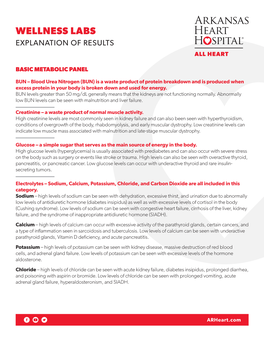 Wellness Labs Explanation of Results