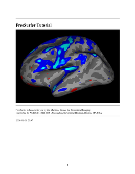 Freesurfer Tutorial