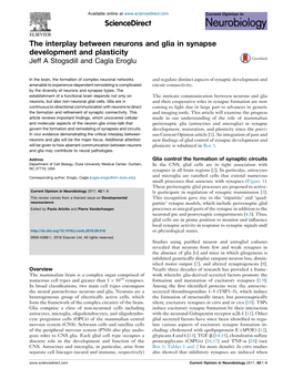 The Interplay Between Neurons and Glia in Synapse Development And