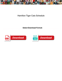 Hamilton Tiger Cats Schedule Panorama