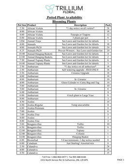 Potted Plant Availability Blooming Plants