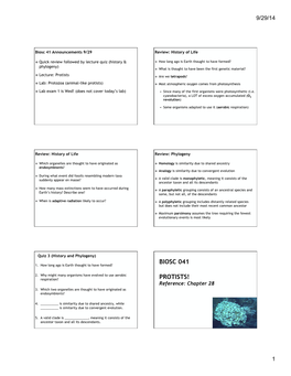 CH28 PROTISTS.Pptx