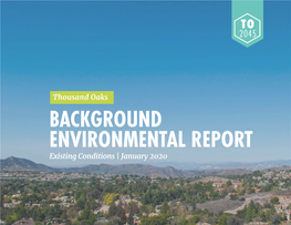 BACKGROUND ENVIRONMENTAL REPORT Existing Conditions | January 2020