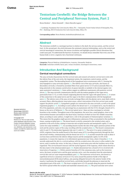 Tentorium Cerebelli: the Bridge Between the Central and Peripheral Nervous System, Part 2