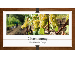 Chardonnay the Versatile Grape Chardonnay History