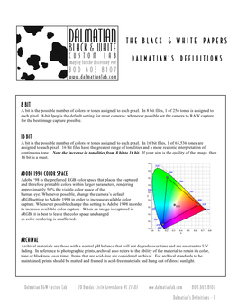 Dalmatian's Definitions