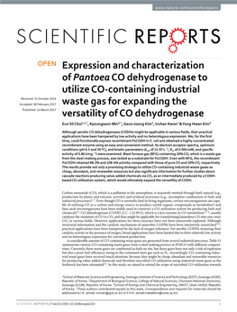 Expression and Characterization of Pantoea CO Dehydrogenase To