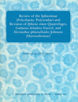 Polychaeta: Polynoidae) and Revision of Iphione Cimex Quatrefages, Gattyana Deludens Fauvel, and Harmothoe Iphionelloides Johnson (Harmothoinae