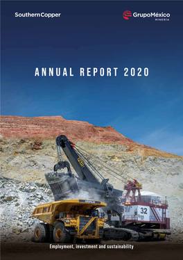 Annual Report 2020