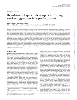 Regulation of Queen Development Through Worker Aggression in A