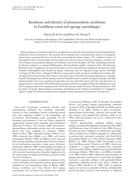 Incidence and Identity of Photosynthetic Symbionts in Caribbean Coral Reef Sponge Assemblages