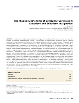 The Physical Mechanisms of Drosophila Gastrulation: Mesoderm and Endoderm Invagination