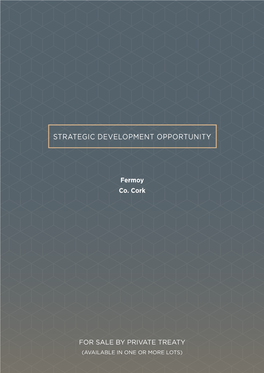 Strategic Development Opportunity