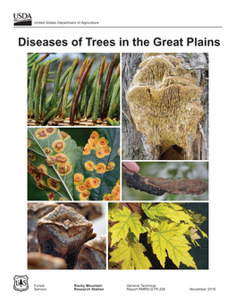 Diseases of Trees in the Great Plains