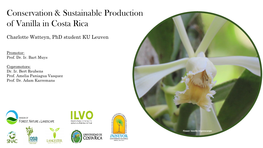 Conservation & Sustainable Production of Vanilla in Costa Rica