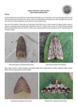 January Review of Butterfly, Moth and Other Natural History Sightings 2019