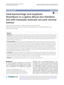 Fatal Haemorrhage and Neoplastic Thrombosis in a Captive African Lion