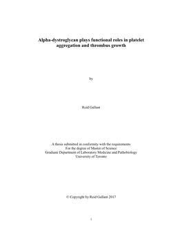 Alpha-Dystroglycan Plays Functional Roles in Platelet Aggregation and Thrombus Growth