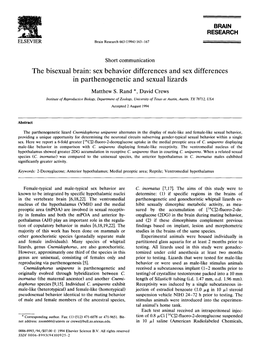 The Bisexual Brain: Sex Behavior Differences and Sex Differences in Parthenogenetic and Sexual Lizards