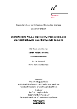 Characterizing Nav1.5 Expression, Organization, and Electrical Behavior in Cardiomyocyte Domains