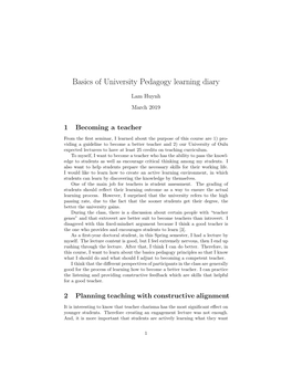 Basics of University Pedagogy Learning Diary