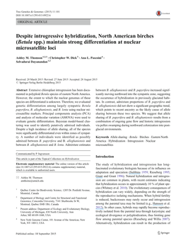 Despite Introgressive Hybridization, North American Birches (Betula Spp.) Maintain Strong Differentiation at Nuclear Microsatellite Loci