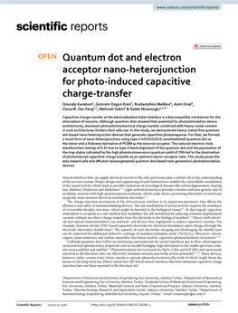 Quantum Dot and Electron Acceptor Nano-Heterojunction For