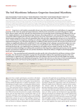 The Soil Microbiome Influences Grapevine-Associated Microbiota