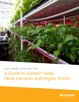 A Guide to Greater Yields, More Harvests and Higher Profits LED GROW LIGHTING 101