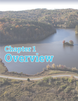 Chapter 1 Overview