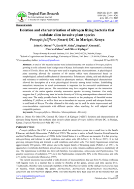 Isolation and Characterization of Nitrogen Fixing Bacteria That Nodulate Alien Invasive Plant Species Prosopis Juliflora (Swart) DC