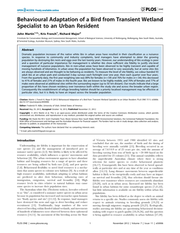 Behavioural Adaptation of a Bird from Transient Wetland Specialist to an Urban Resident