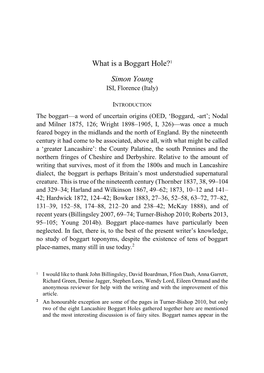 What Is a Boggart Hole?1 Simon Young ISI, Florence (Italy)