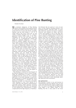 Identification of Pine Bunting T