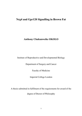 Nrg4 and Gpr120 Signalling in Brown Fat Anthony Chukunweike OKOLO