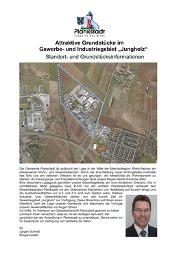 Attraktive Grundstücke Im Gewerbe- Und Industriegebiet „Jungholz“