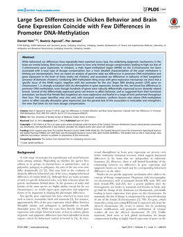 Large Sex Differences in Chicken Behavior and Brain Gene Expression Coincide with Few Differences in Promoter DNA-Methylation