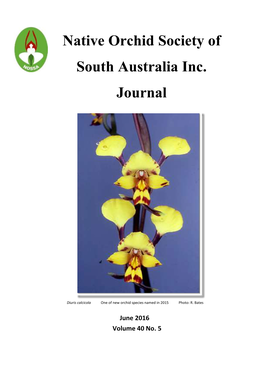 Native Orchid Society of South Australia Inc
