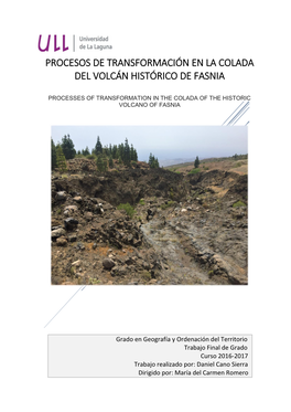 Procesos De Transformación En La Colada Del Volcán Histórico De Fasnia