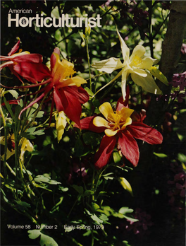 Clematis Clematis Are the Noblest and Most Colorful of Climbing Vines