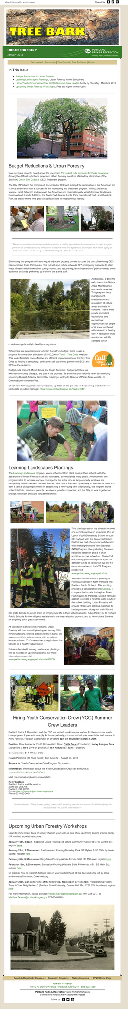 Budget Reductions & Urban Forestry Learning Landscapes Plantings