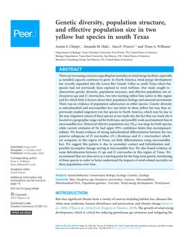 Genetic Diversity, Population Structure, and Effective Population Size in Two Yellow Bat Species in South Texas